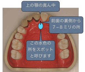 スポットの位置