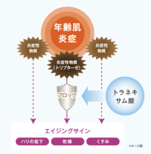 トラネキサム酸とトリプターゼ